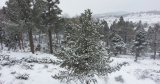 Training in Cold Weather | Bill Starr